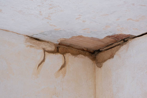 Best Emergency water damage restoration  in USA